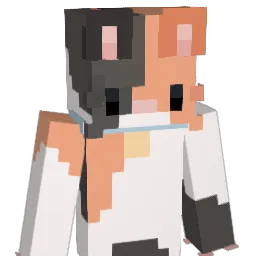 Voicer_