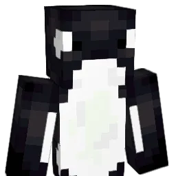 VoidMageOrca Minecraft avatar bust
