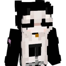 VoidX_'s Minecraft skin