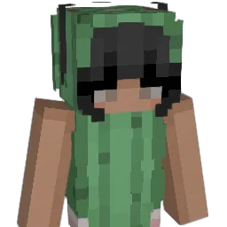 Volae Minecraft avatar bust