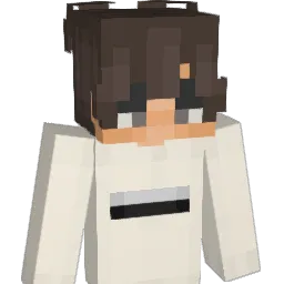 VorTex_157 Minecraft avatar bust