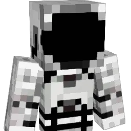 VrticE_ Minecraft avatar bust