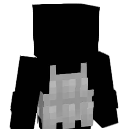 Vsjnvt Minecraft avatar bust
