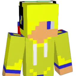 Vtl_ Minecraft avatar bust