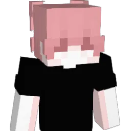 Vwyyy Minecraft avatar bust
