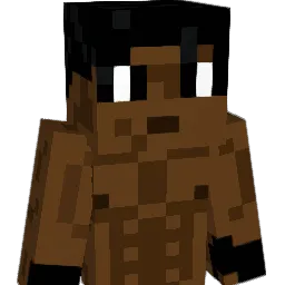 VxShelby Minecraft avatar bust