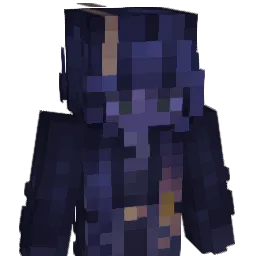 Vyzoa