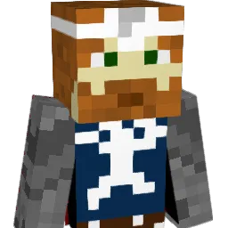 W1ldC44rd's Minecraft skin