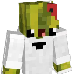 W4trM3lon Minecraft avatar bust
