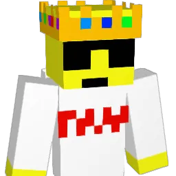 WAMALAMA Minecraft avatar bust