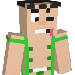 WANSUKKRI Minecraft avatar bust