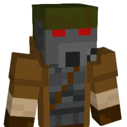 WARSAWA_ Minecraft avatar bust