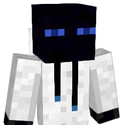 WATERSHIP312095 Minecraft avatar bust