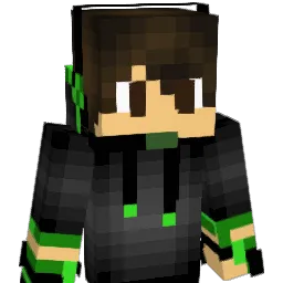 WG73 Minecraft avatar bust