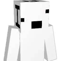 WHITE_TRAIN Minecraft avatar bust