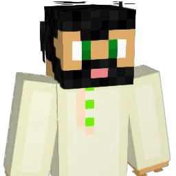 WHO_IS_NAIN Minecraft avatar bust