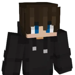 WICTUR Minecraft avatar bust
