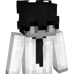 WINSITY Minecraft avatar bust