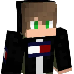 WIZARDHDx Minecraft avatar bust
