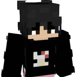 WInsr Minecraft avatar bust