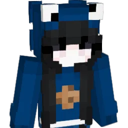 WJSRLAHWK Minecraft avatar bust