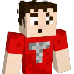 WLBatman Minecraft avatar bust