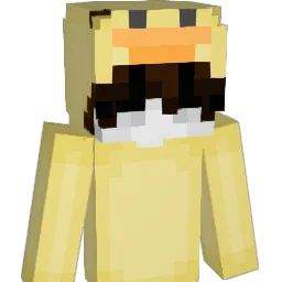 WNorthernIslandW Minecraft avatar bust
