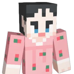 WONNNY Minecraft avatar bust