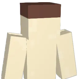 WOOJINKKMM Minecraft avatar bust