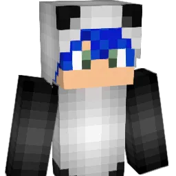 WOORU0411 Minecraft avatar bust