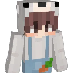 WOO_DAL Minecraft avatar bust