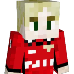 WOTAKATA Minecraft avatar bust