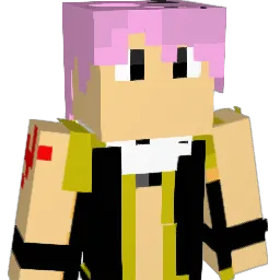 WPKID_MONEY Minecraft avatar bust