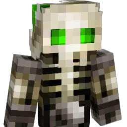 WRSmaster Minecraft avatar bust