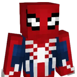 WSM28 Minecraft avatar bust