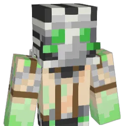 WT9K Minecraft avatar bust