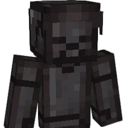 WTFYMBHS Minecraft avatar bust