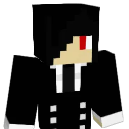 WTF_Reborn Minecraft avatar bust