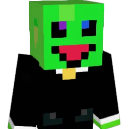WTLP17 Minecraft avatar bust