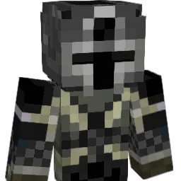 WTN333 Minecraft avatar bust