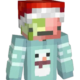 WTRM3L0N Minecraft avatar bust