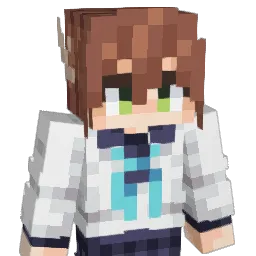 WWIIXD Minecraft avatar bust