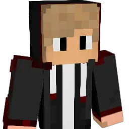 WWMichel Minecraft avatar bust