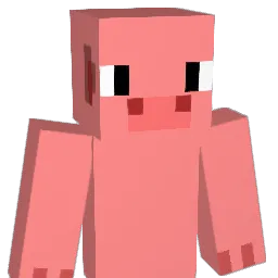 WWWVVV Minecraft avatar bust