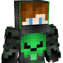 WYGR4NY Minecraft avatar bust