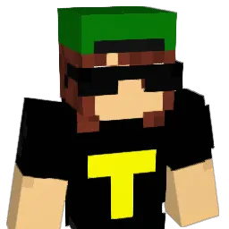 W_T_D Minecraft avatar bust