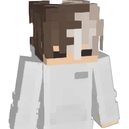 Wafeleek88 Minecraft avatar bust