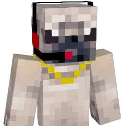 WaffleCat719 Minecraft avatar bust