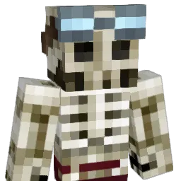 Waffles201 Minecraft avatar bust