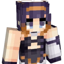 Wah_Tako_ Minecraft avatar bust